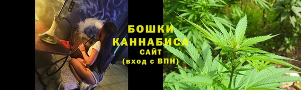 PSILOCYBIN Беломорск